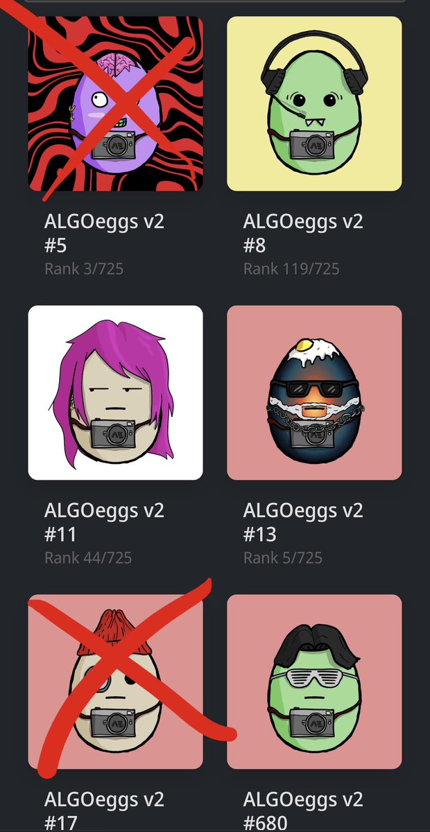ALGOeggs 🥚 tweet media