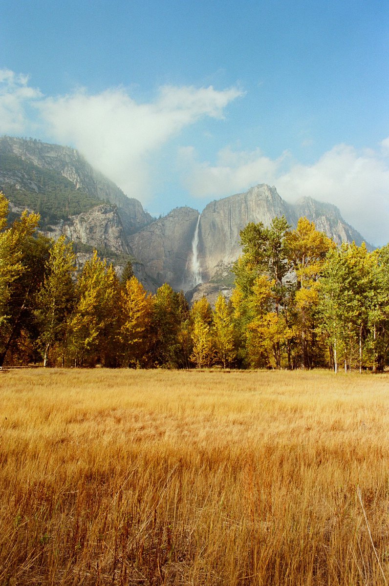 JAMESPIPERPHOTO's tweet photo. film photos from yosemite https://t.co/sAWWdd1cyy