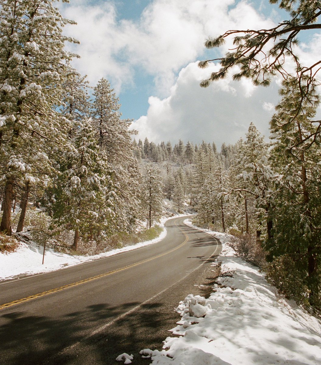 JAMESPIPERPHOTO's tweet photo. film photos from yosemite https://t.co/sAWWdd1cyy