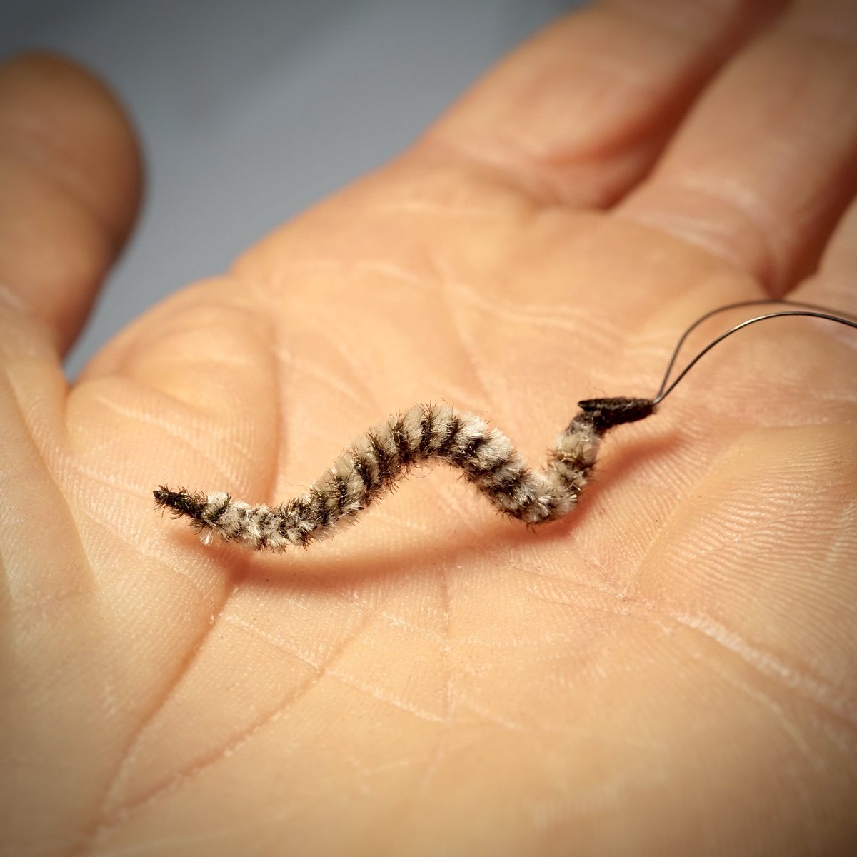 Bridget Bailey tweet media