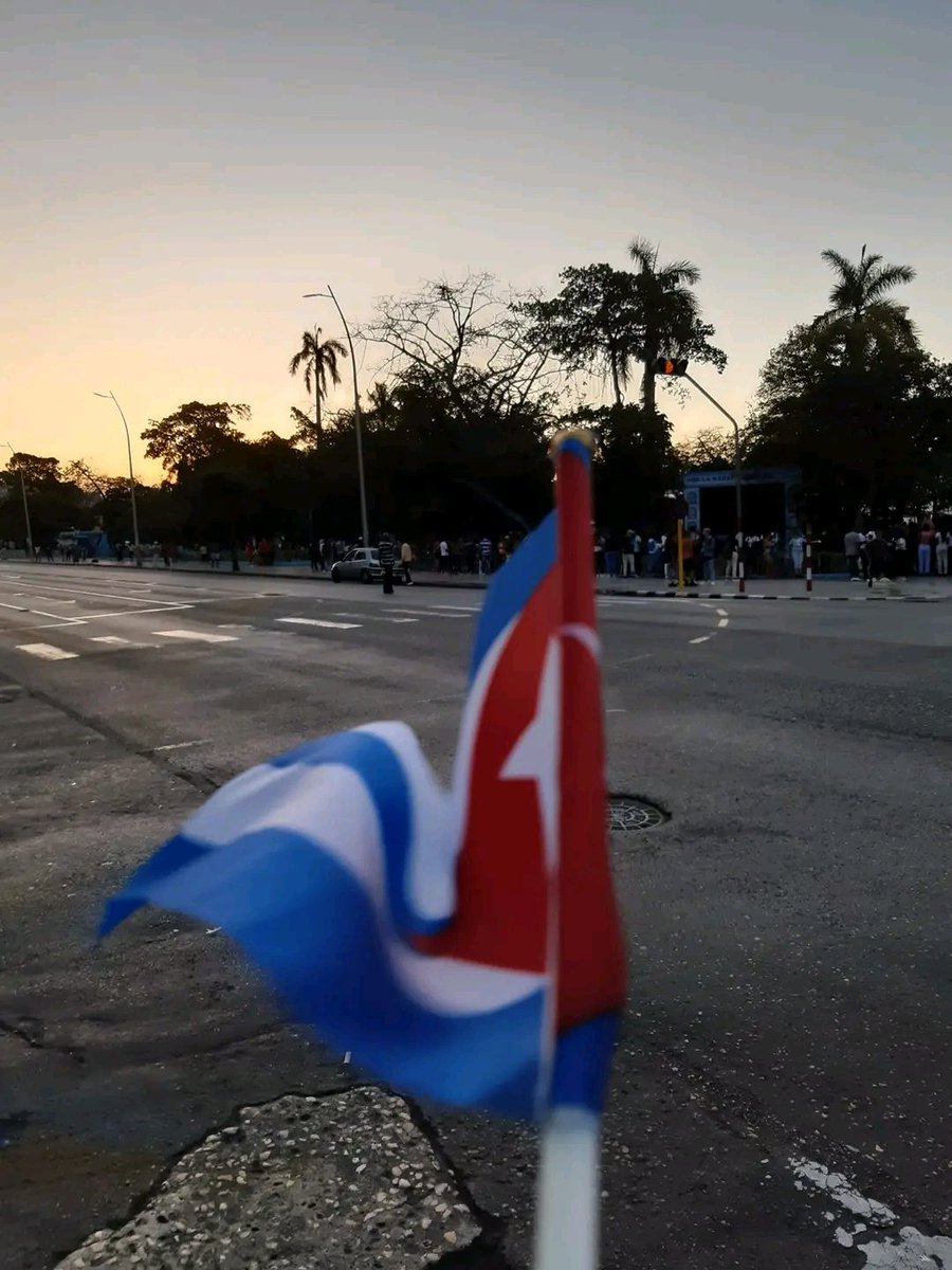 Nací en donde se dice "Que bolá asere", donde hay playas hermosas y gente linda, donde se le dice a los desconocidos "Mi vida", donde los hijos de tus amigos son tus sobrinos, donde la gente siempre es amable.

¡Nací en #Cuba y soy orgullosamente cubana! 🇨🇺 ❤️