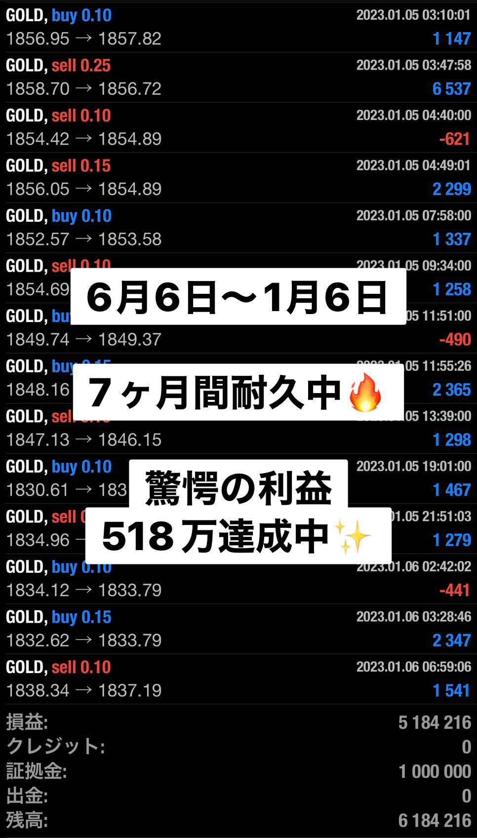 GMOコイン用】仮想通貨の自動売買リバランスシステム(サーバレス) バイナリーオプション ビットコイン サインツール 副業 FX 自動売買EA