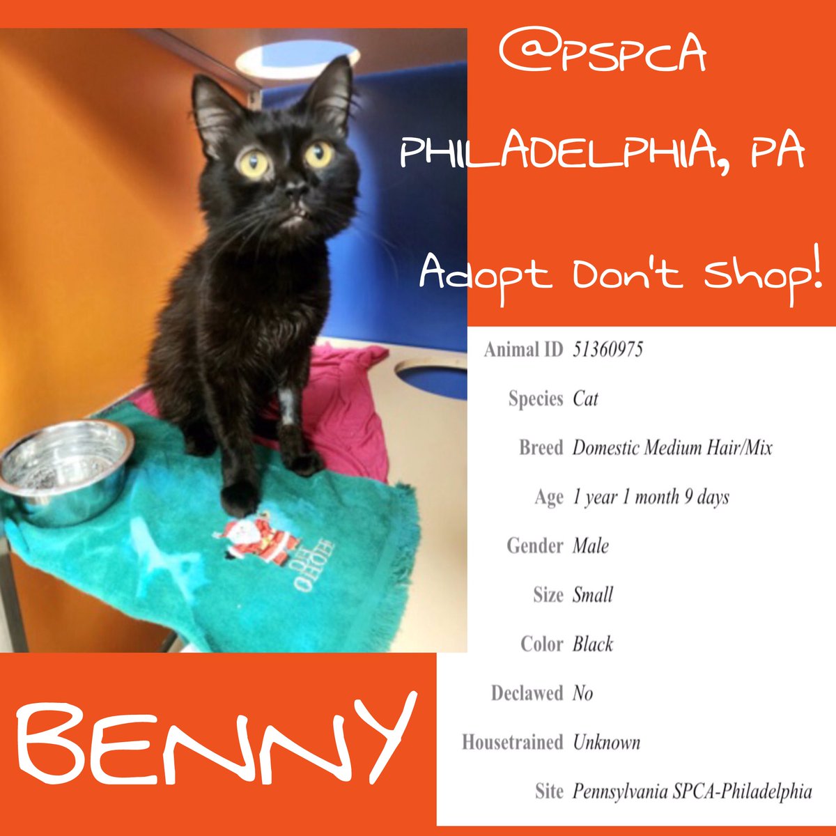 Meet BENNT...<a href="/PSPCA/">Pennsylvania SPCA</a>