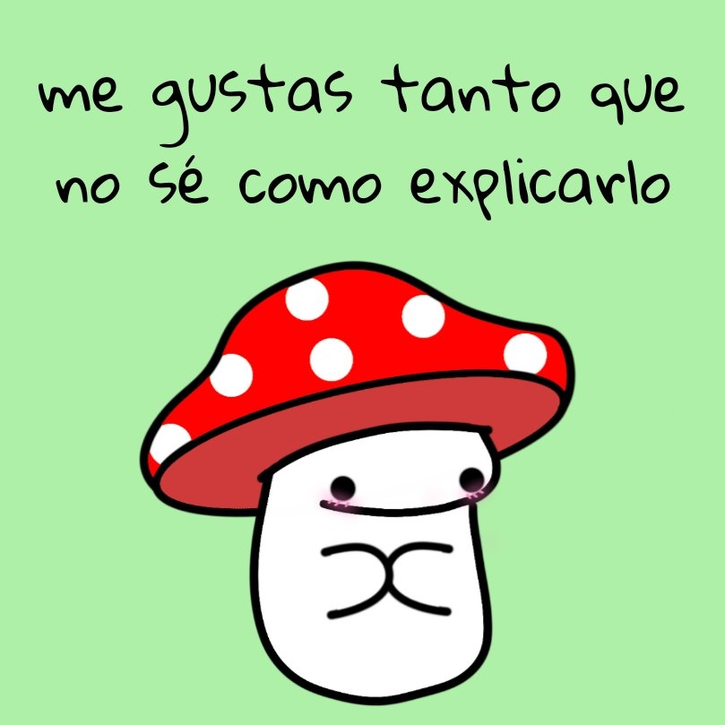 Funguitos (@funguitos) on Twitter photo 