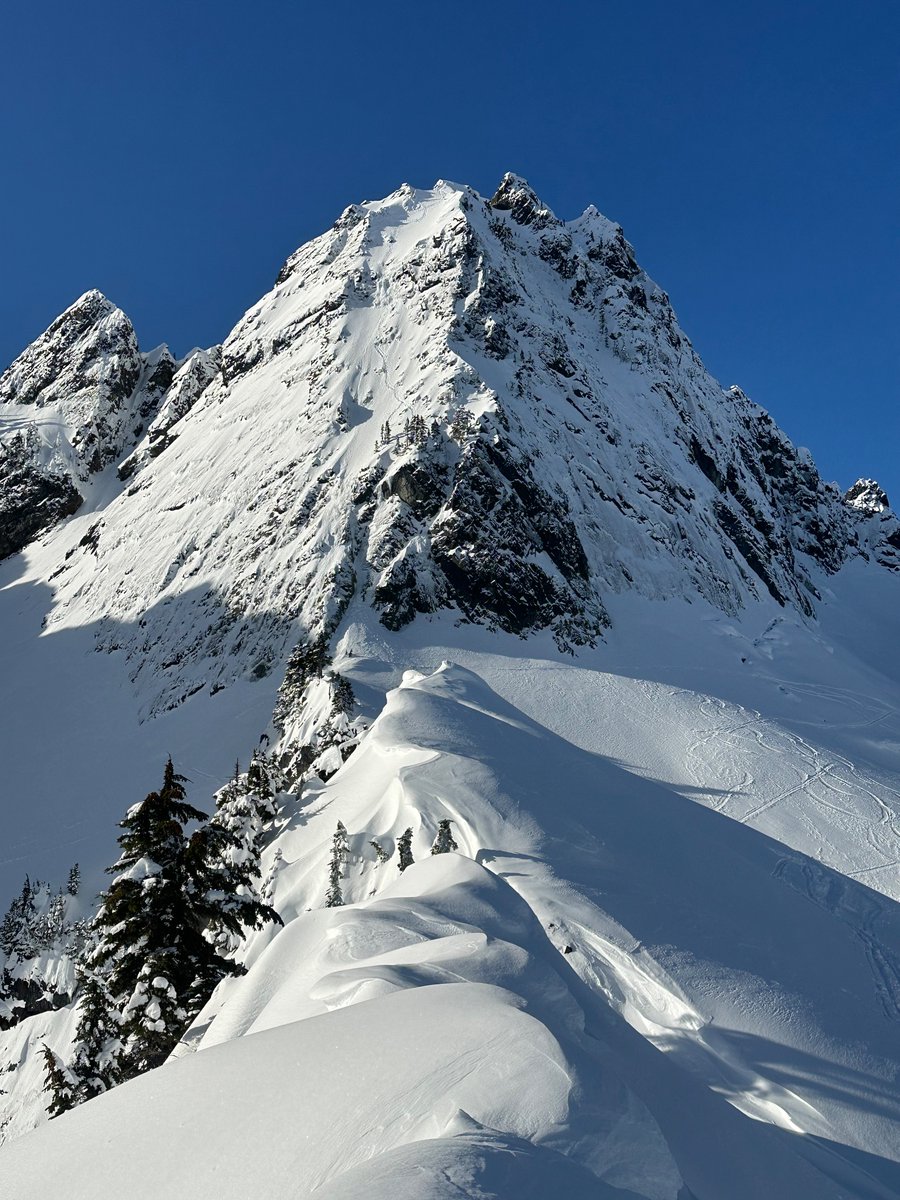 TourayKungkagam's tweet photo. Gorgeous blue bird morning. #alpinelife https://t.co/JNHtuPXHmX