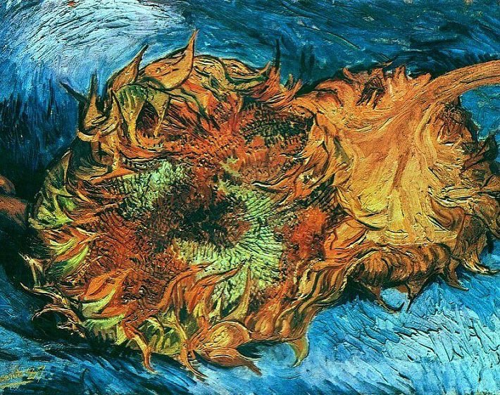 lov3struckmag's tweet photo. - Some of Van Gogh’s most favored works ⭐️ https://t.co/uuBdwxtDKq
