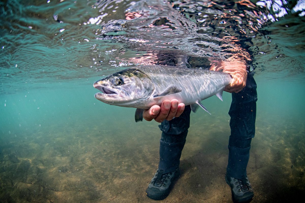 The Fly Shop tweet media