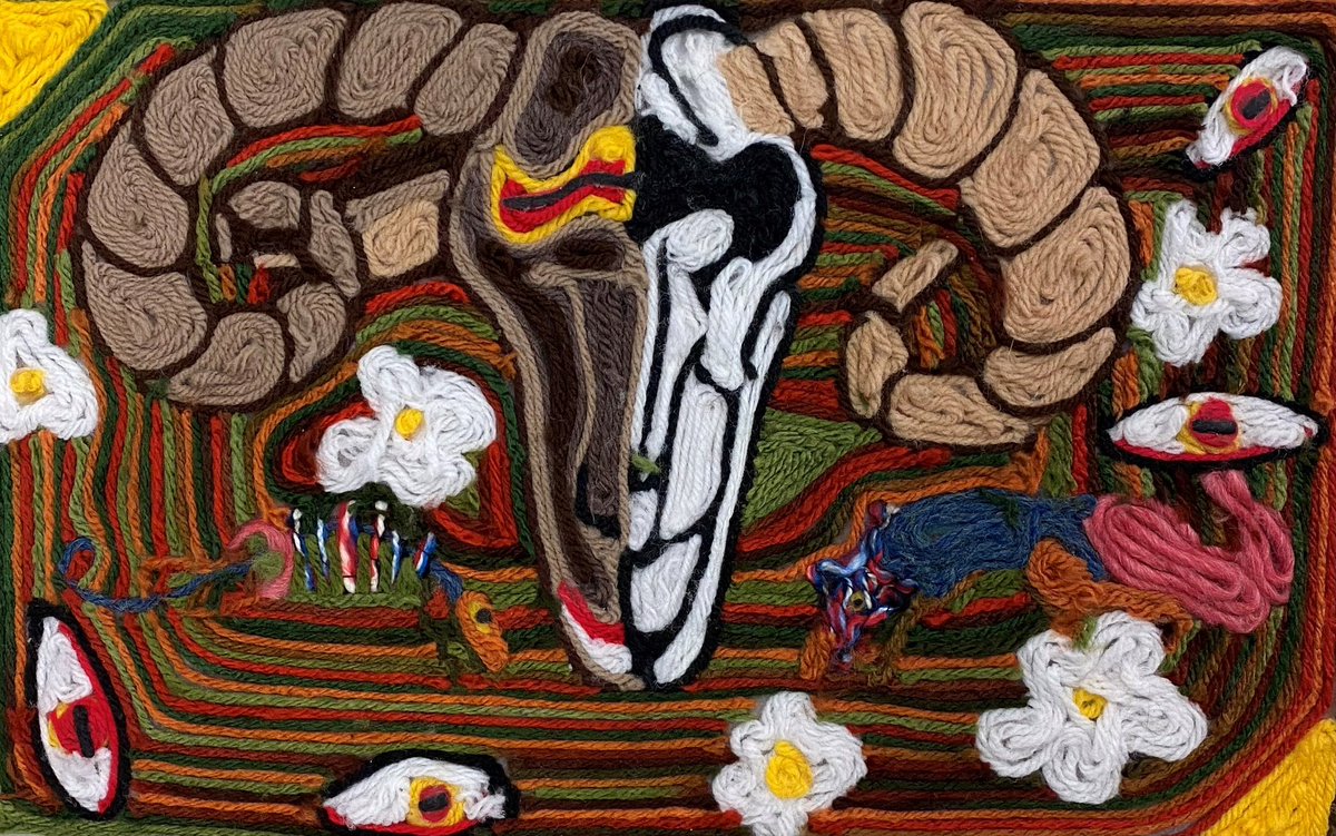 Amanda Frederick tweet media