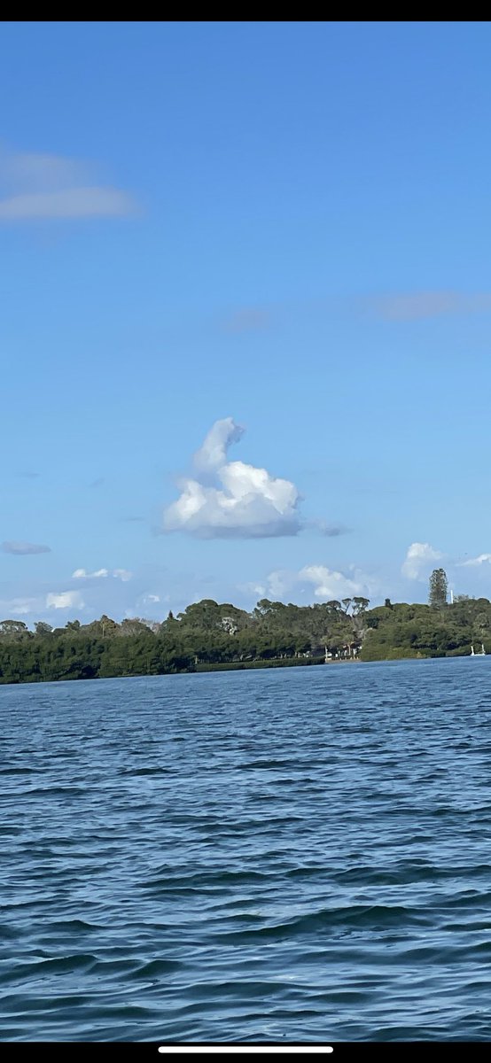 Missing the Avalon peninsula but a very familiar looking cloud today.. boating <a href="/StPeteFL/">St. Petersburg, FL</a> <a href="/EddieSheerr/">Eddie Sheerr</a>
