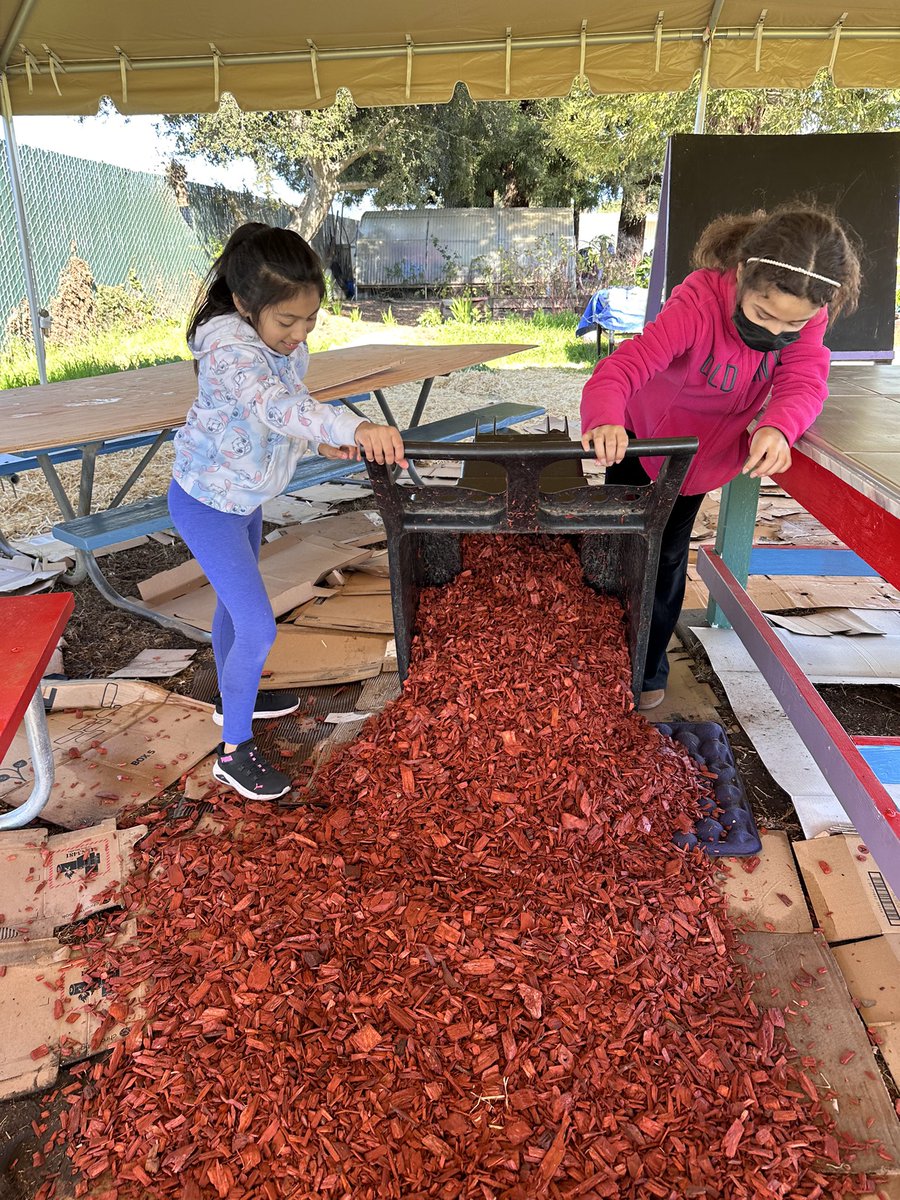 AME_Eagles's tweet photo. Big thanks to Evergreen Supply for their donation to help get our outdoor LifeLab learning space ready for our Kids Cook unit. https://t.co/YT9bL9rt22