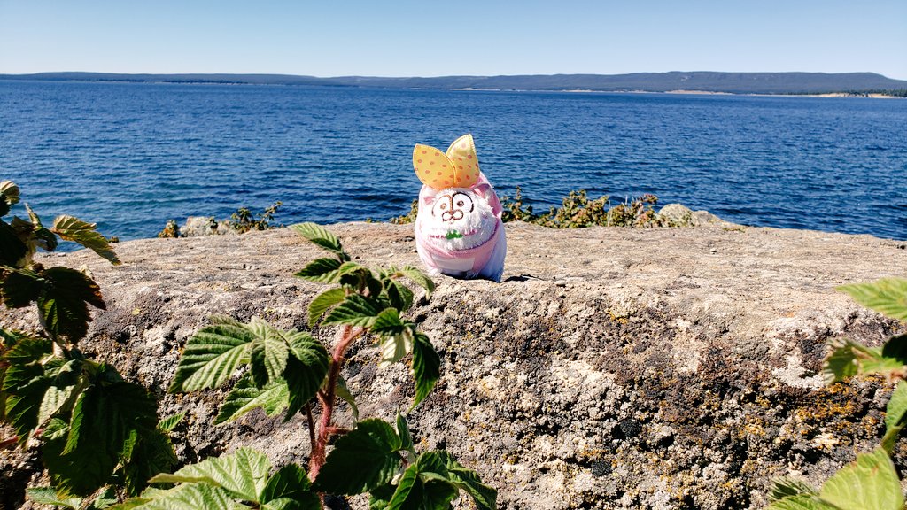 The creature of Chicken Nuggets 🐈 tweet media