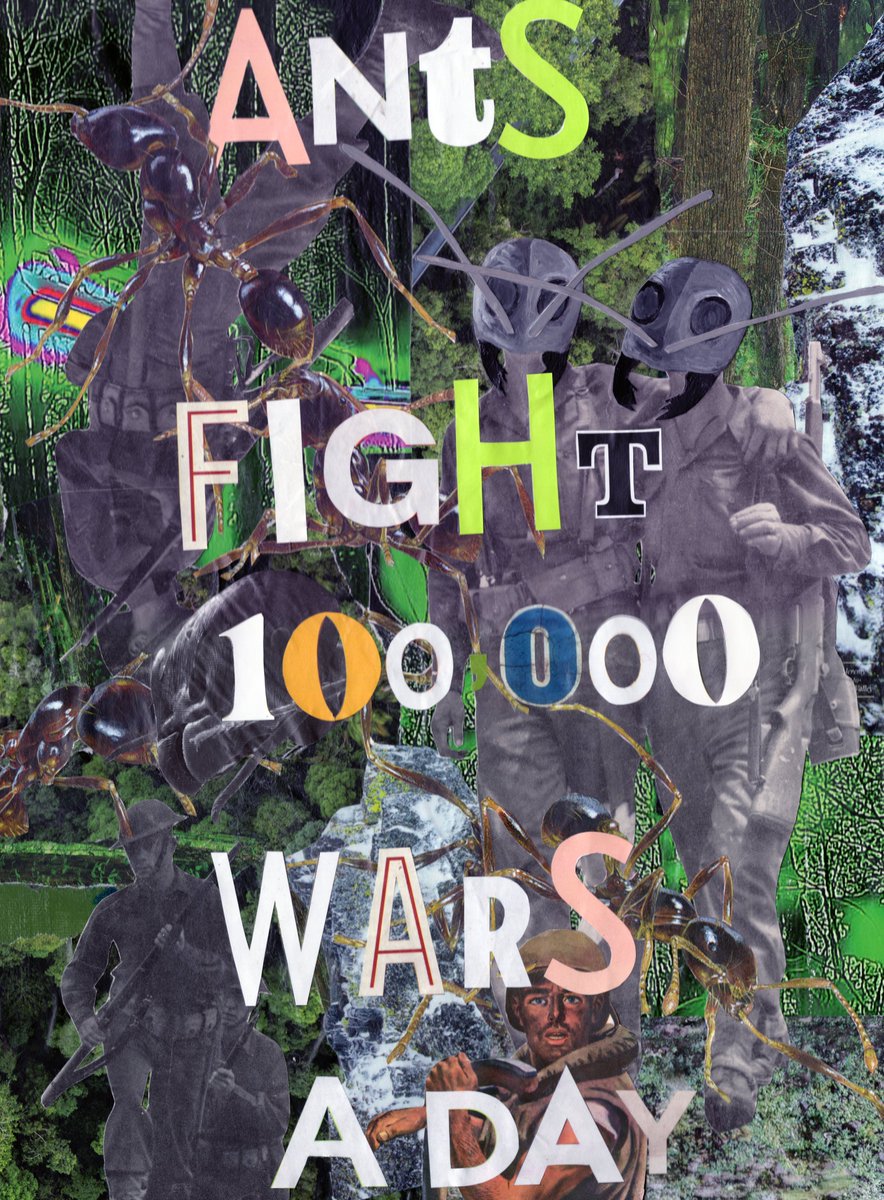 variegatedviews's tweet photo. Ant War, paper collage and acrylic on canvas, 2023 #antposting #antwar I loved making this, I used Nat Geo magazines and vintage Life magazines! https://t.co/5gUILJBBbO