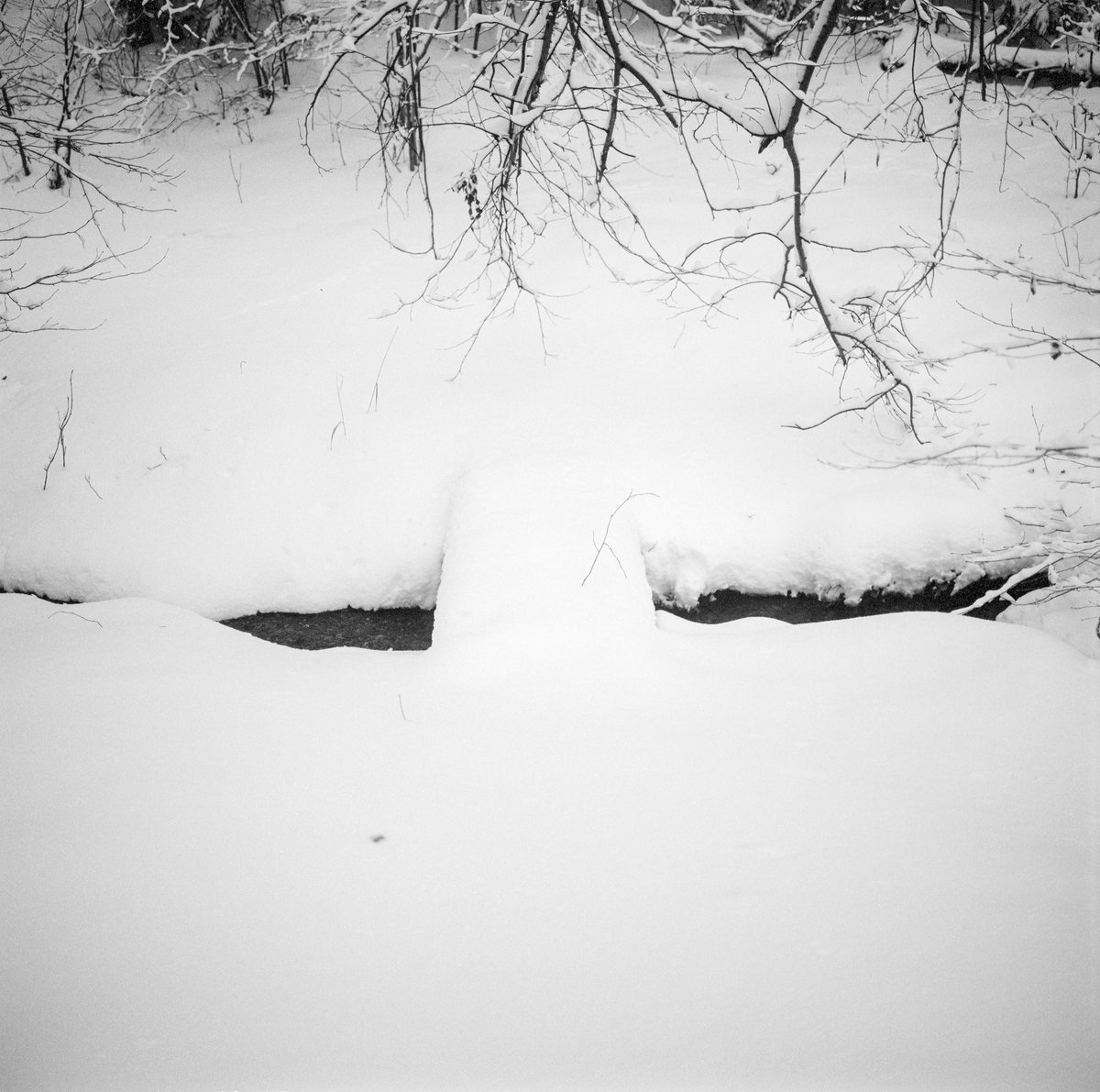 simon_diamond's tweet photo. Creek vs snow💧❄️
Mamiya 6 MF
75mm F3.5
Fuji Acros II 100
HC-110
#believeinfilm #1990sCameraChallenge @ShittyChallenge https://t.co/ALnlbYnVkc