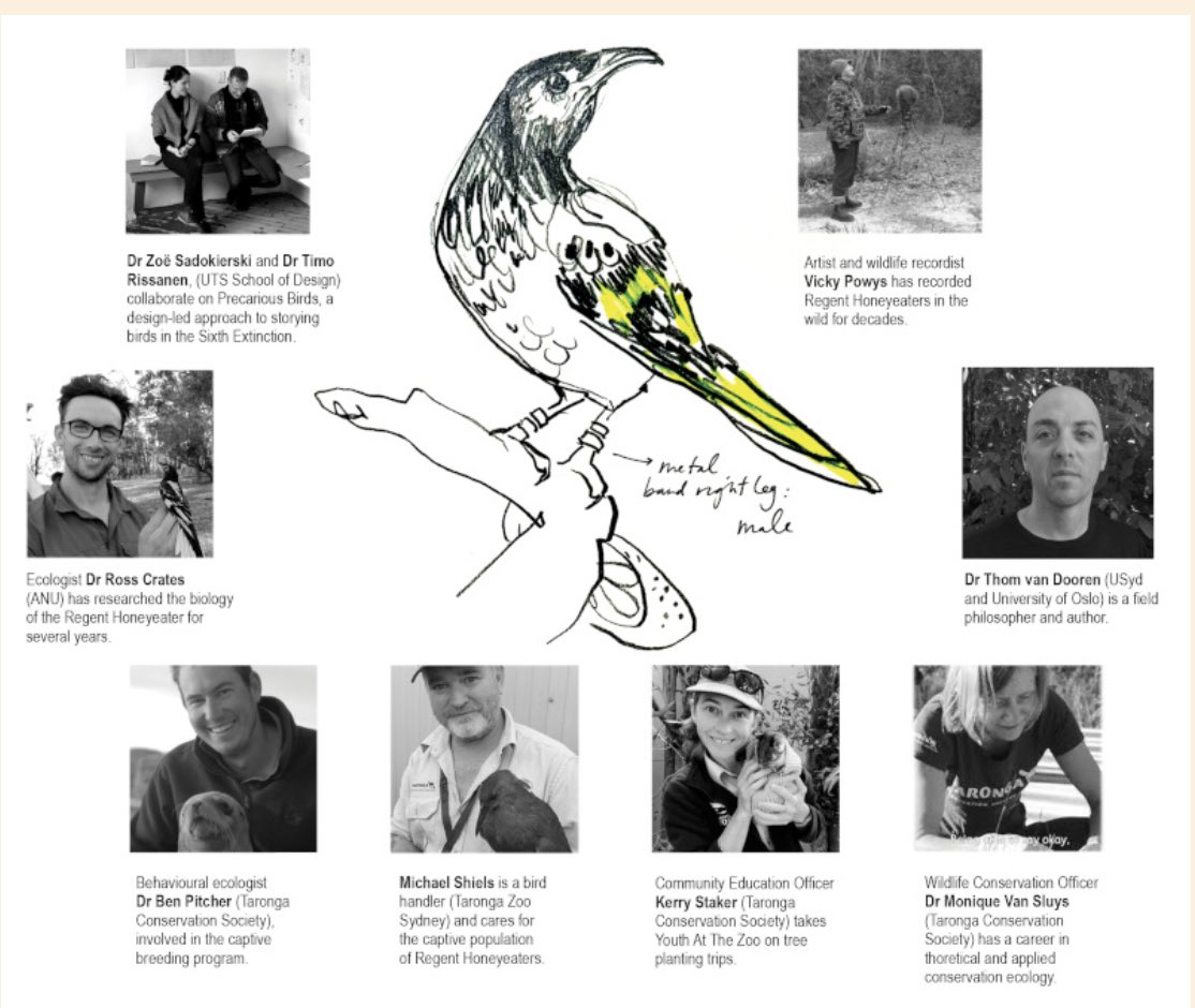 Zoe Sadokierski tweet media