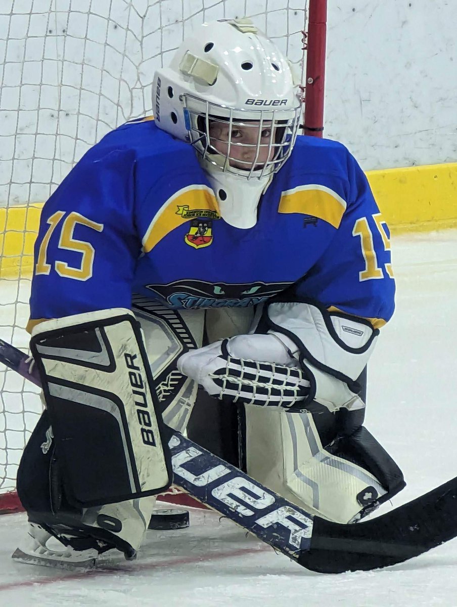 Look out <a href="/JordanMcL_99/">Jordan Mclaughlin</a> <a href="/CurtisWarburto1/">Curtis Warburton</a> <a href="/hullseahawks/">Hull Seahawks 🦅🏒</a> she wants to be a seahawk..... maybe in 10years??? Although if you played her am sure noone would want to score.. 🤣