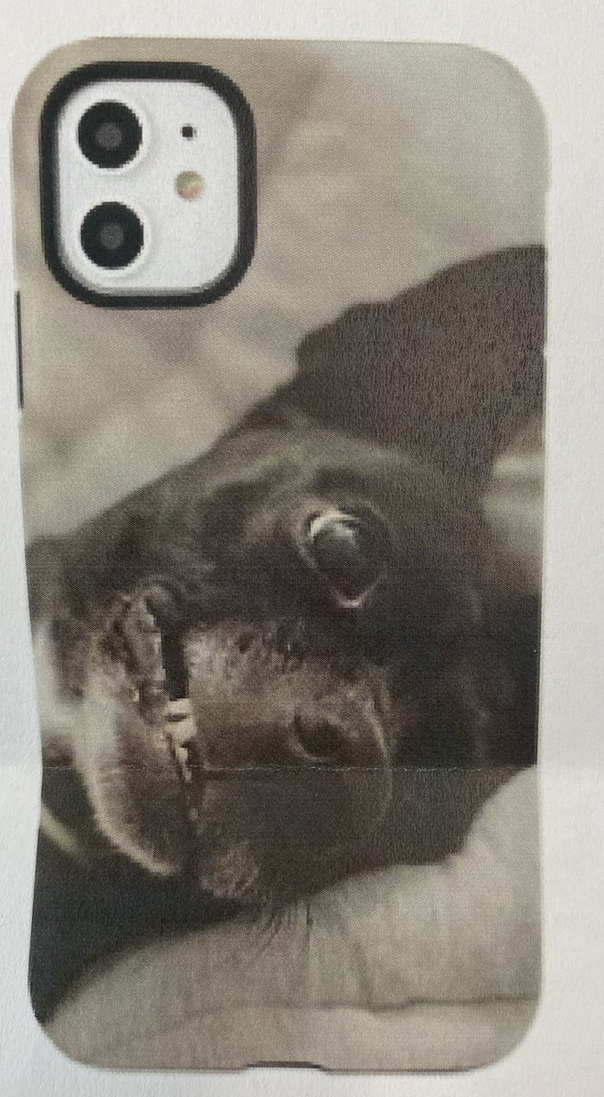 Mel Usry tweet media