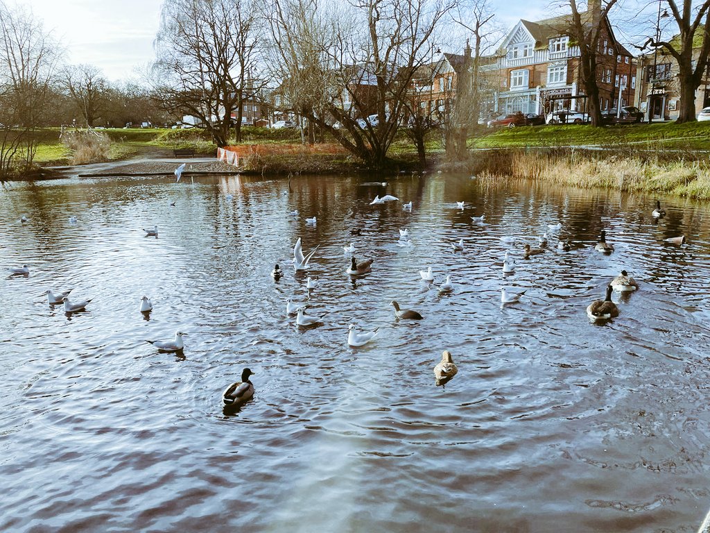 Chislehurst Commons tweet media