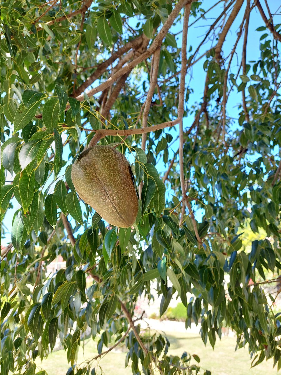 Nick Coslett tweet media