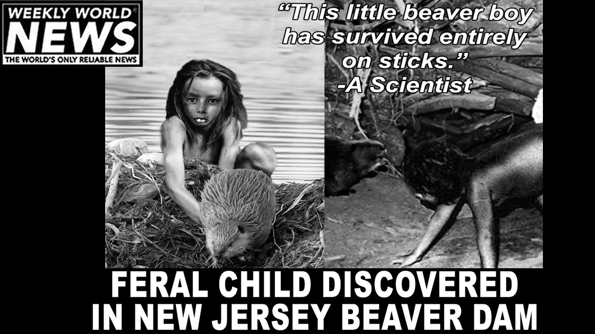 weeklyworldnews's tweet photo. "You really have to look at what they put together in those dams. Those beavers are sneaky. But Beaver Boy is such a nice kid."
#newjersey #feralchild #beaverboy #beavers #beaverdam #dams #scientist https://t.co/1DxO1Z2F8G