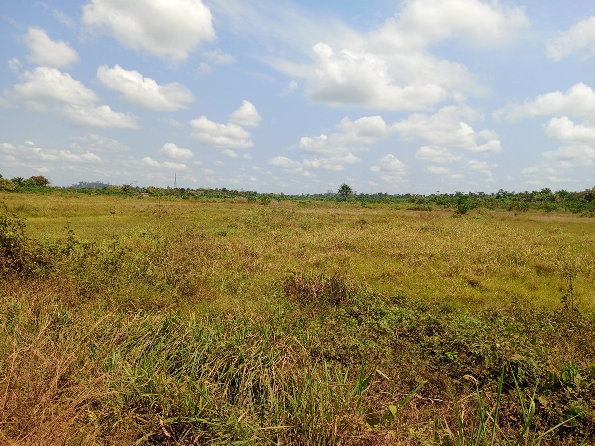 mulbahjr84's tweet photo. SADFONS project team conducting a  physical verification of FBOs in the Southeastern region. The exercise is meant to ensure that genuine famers benefit from the project interventions including the rehabilitation of 150 hectares of lowland. @BFassah @Nanaeghan_ @GAFSPfund https://t.co/f8WaAXcJPZ