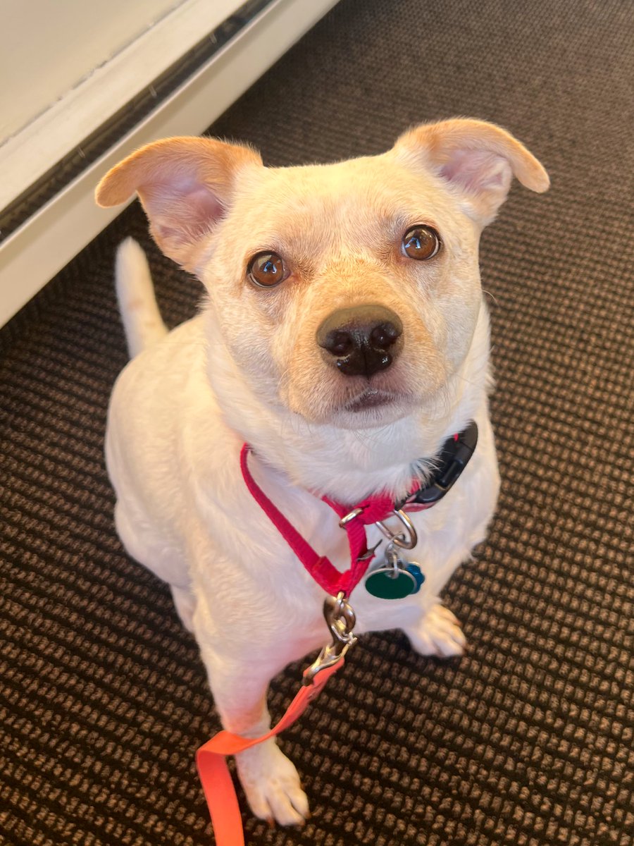 heath’s evil twin tweet media