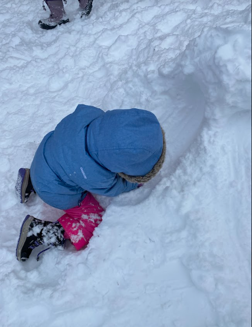 CastlemoreYRDSB's tweet photo. What are your wonderings about snow? Look at our Kindergarteners' brains light up as they generate their inquiry questions about snow. #inquiry #playbaselearning #kindergarten @YRDSBEarlyYears https://t.co/qrK9DSAQeR