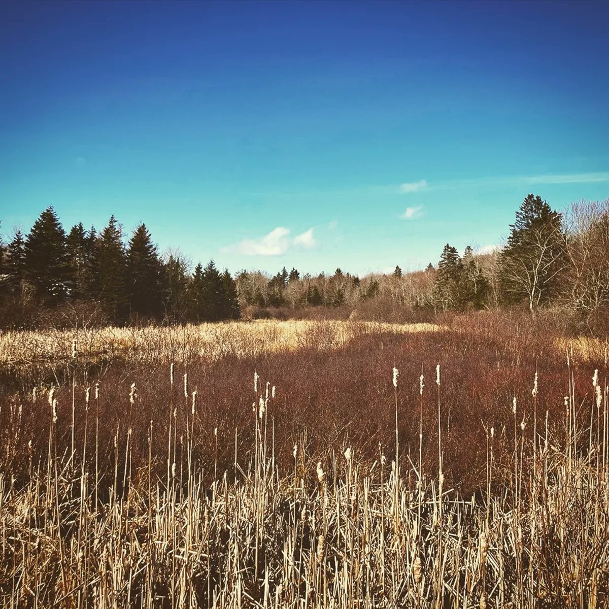 OutikWear's tweet photo. ❤️ if you love nature.

#nature #naturephotography #nature_brilliance #nature_perfection #nature_obsession #nature_landscapes #landscapes #landscapephotography #naturelover #hiking #hike #hikingadventures #hikingculture #adventure #adventuretime #photography #photographylovers https://t.co/Xm3RqypRGe