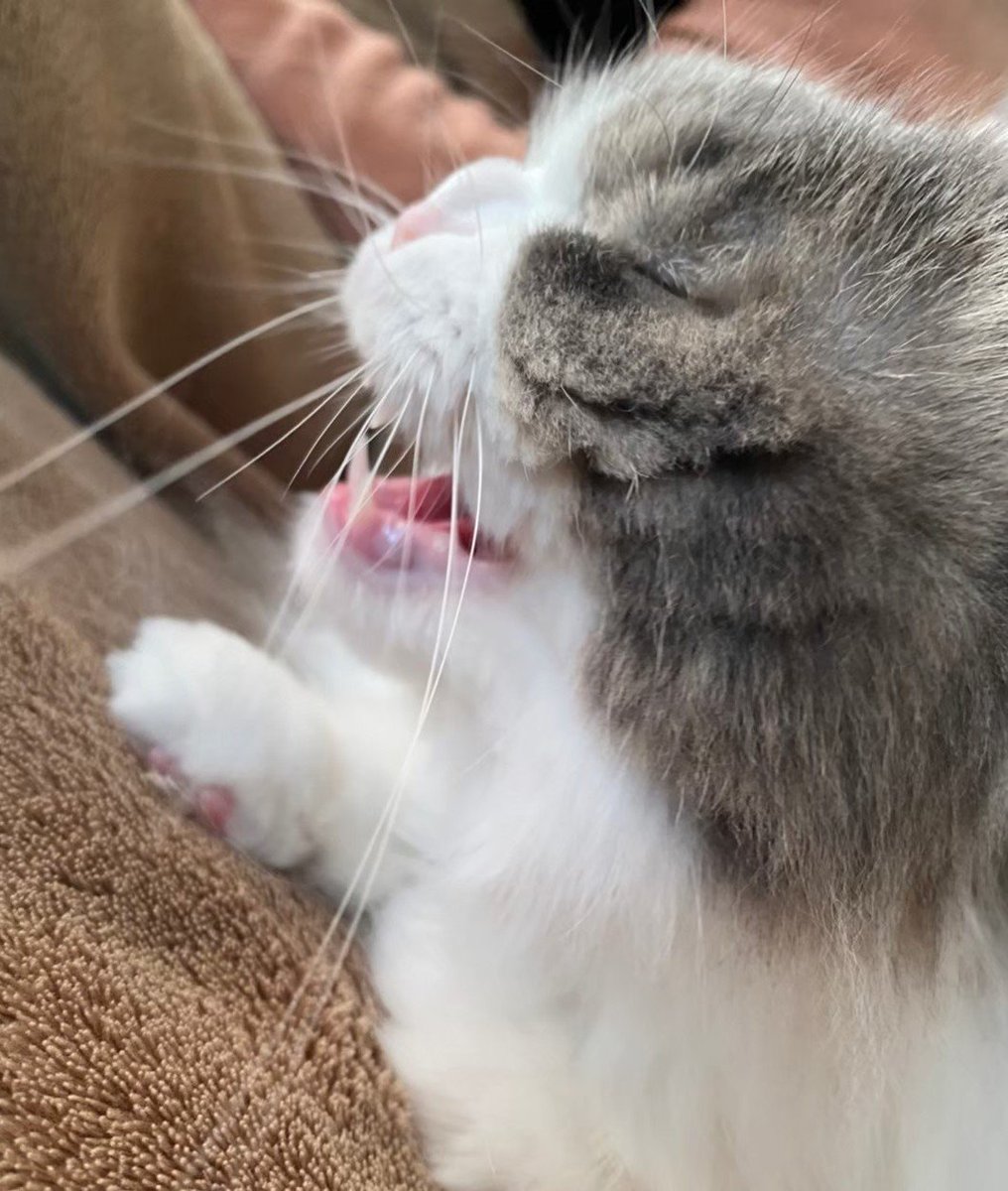 1月もありがとうございました