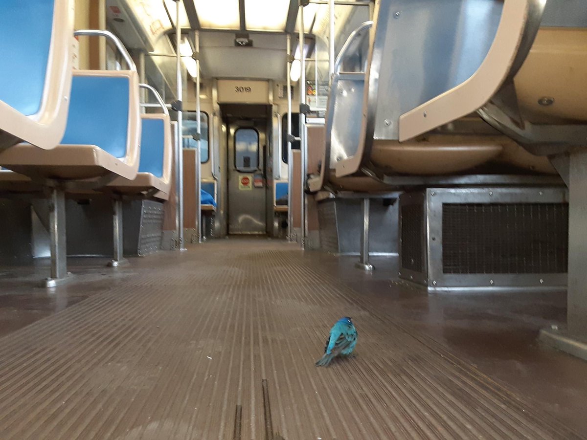 chi_urbanist's tweet photo. Choose your fighter https://t.co/3NL28vM0X7