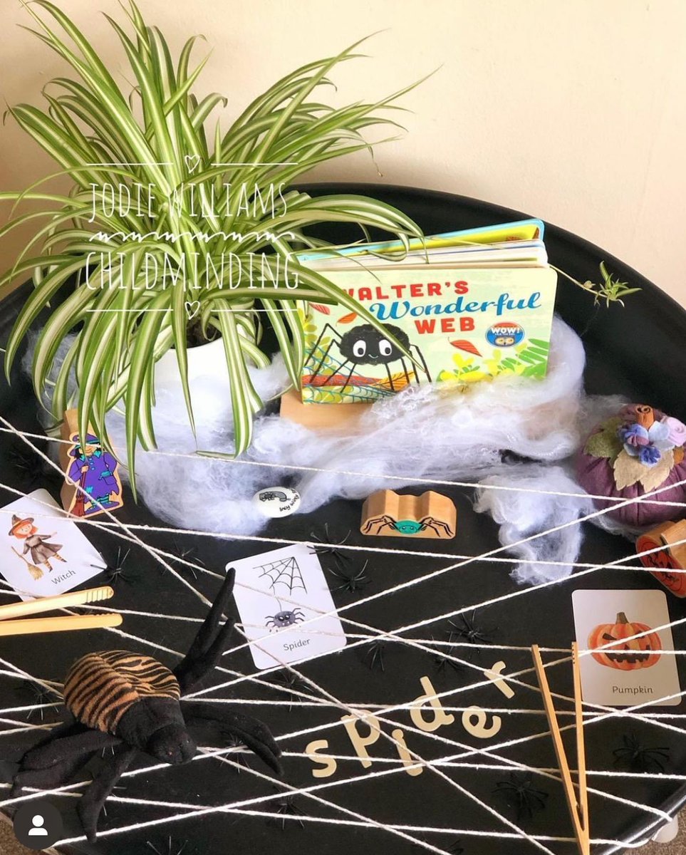 Cosy Direct tweet media