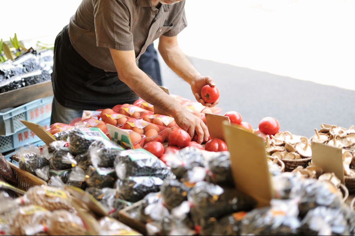 indrevfund's tweet photo. Here are 8 sustainable side hustles that will make you money and save the environment.

https://t.co/fhNvta7AOe

#innovation #sustainable #sustainableinnovation #investment #environment #sustainability https://t.co/2FlK7QUgpo