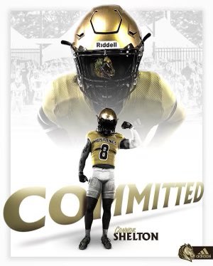 Connor Shelton tweet media