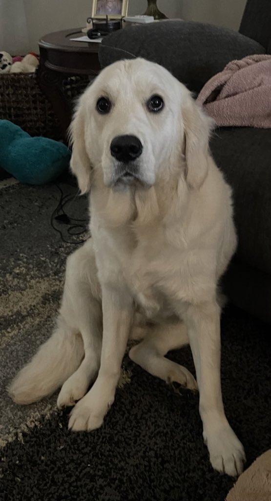 Maggie Mae tweet media