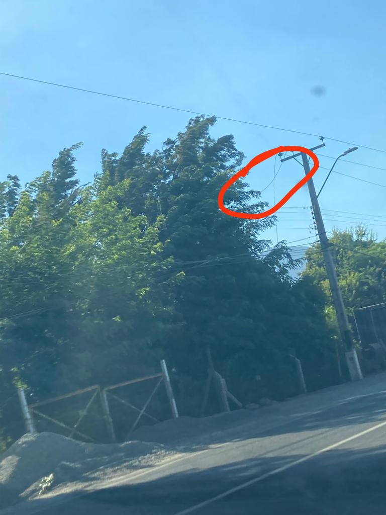 jonsoin's tweet photo. @Chilquinta600 buenas tardes se cortaron dos lines de MT en sector Auco paradero 25, rinconada para que envíen cuadrilla a aislar sector saludos https://t.co/zUExcTbXcW