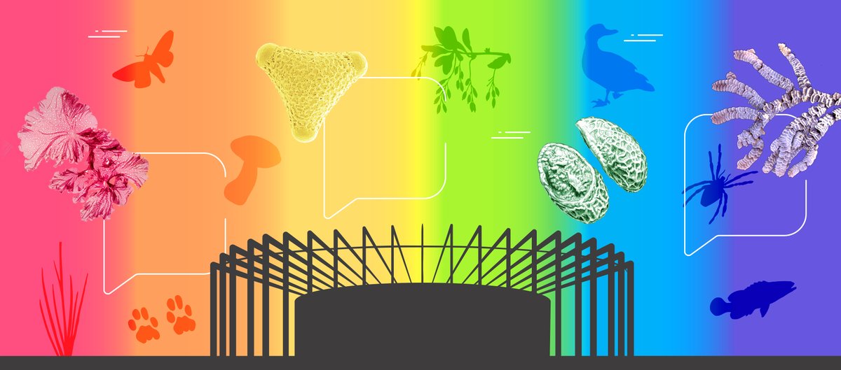 Only 3 weeks to go until the special <a href="/SydWorldPride/">Sydney WorldPride 2023</a> edition of An Evening with 500 Queer Scientists!!
Final themes and full speaker line-up now announed here: rbgsyd.nsw.gov.au/what-s-on/an-e…
<a href="/RBGSydney/">Sydney Travel</a> <a href="/500QueerSci/">500QueerScientists</a> #LGBTSTEM