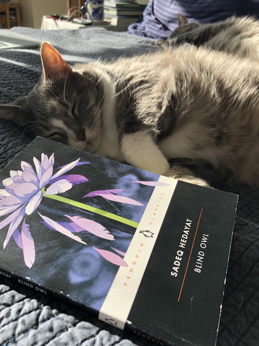 New! We read Sadeq Hedayat's classic novel Blind Owl (translated by <a href="/TabatabaiSassan/">Sassan Tabatabai</a>, published by <a href="/PenguinClassics/">Penguin Classics</a>). It's a disquieting tale about a pen-case painter who is haunted by the image he paints again and again…

Listen on your podcast app or at megaphonic.fm/spouter/64