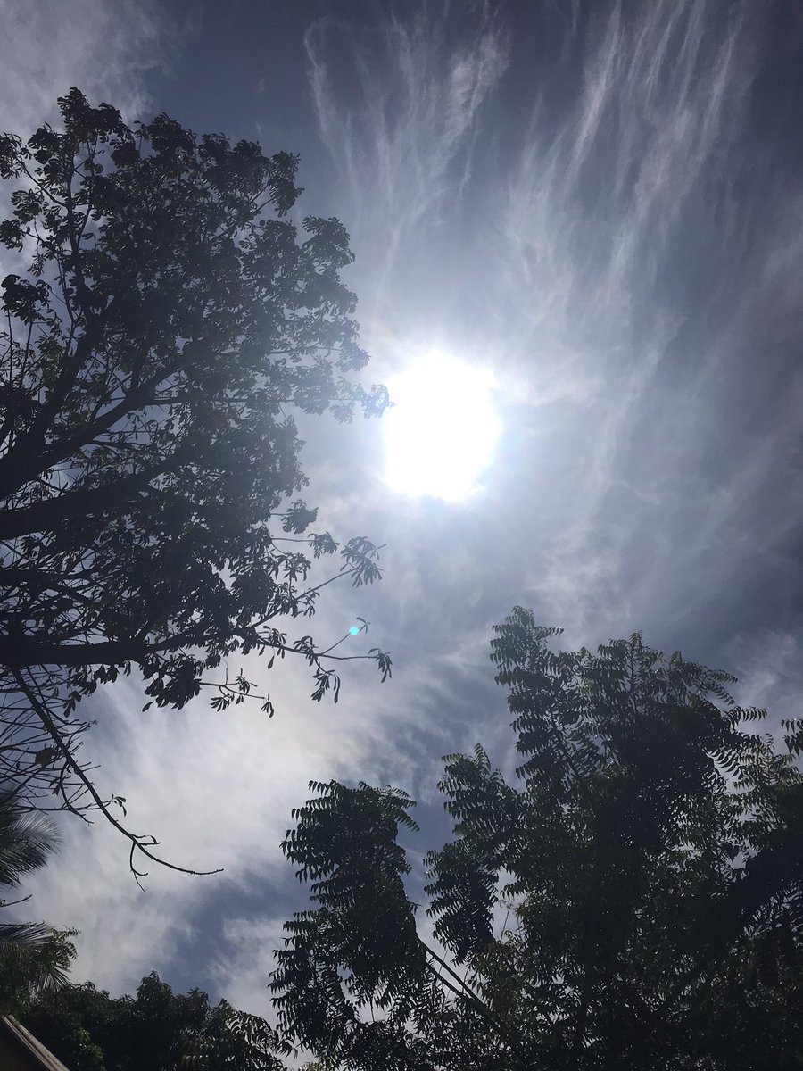 The sun is shining 😍