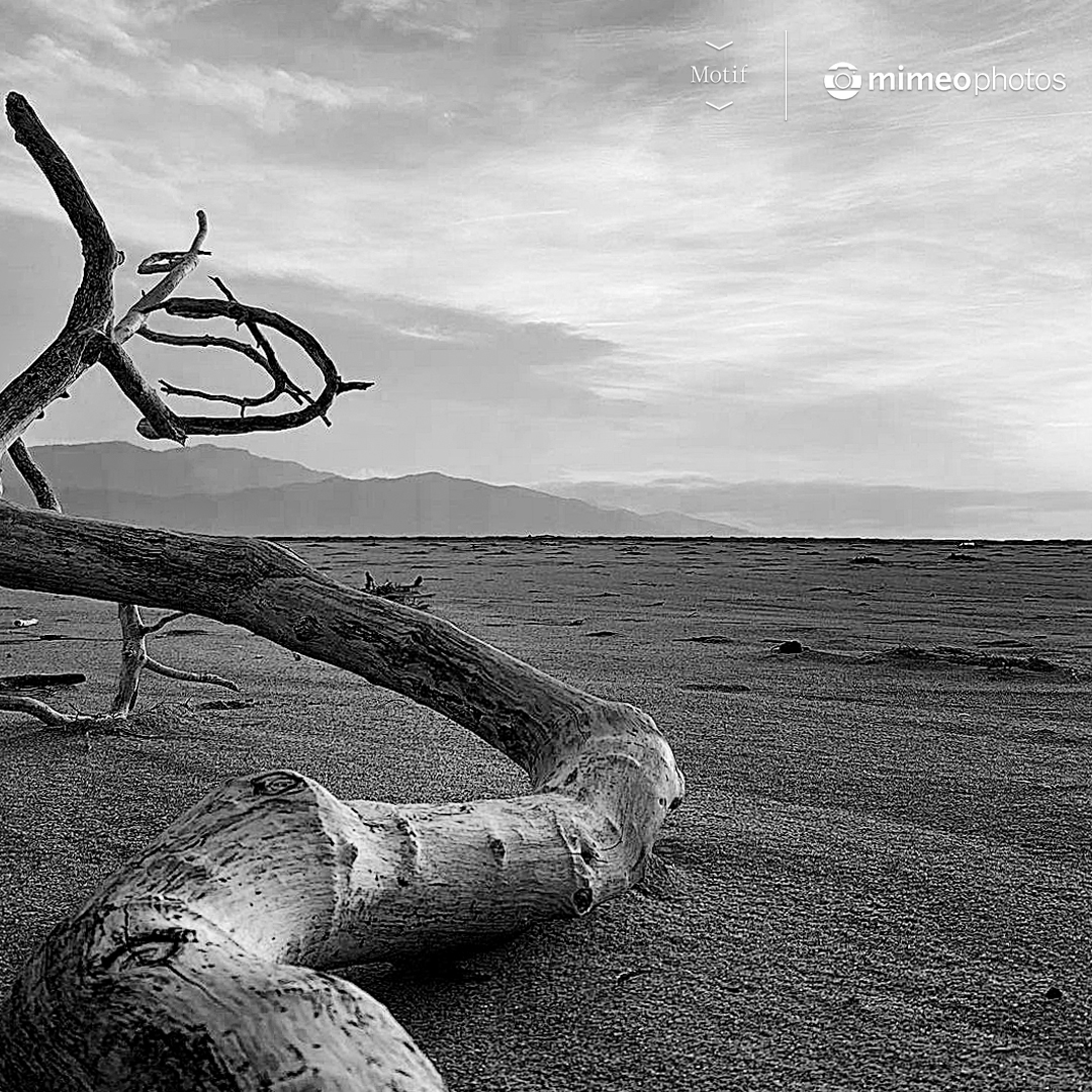 Thank you to Desislava Terziyska for painting a beautiful canvas with this picture.

#MotifPhotos #MimeoPhotos