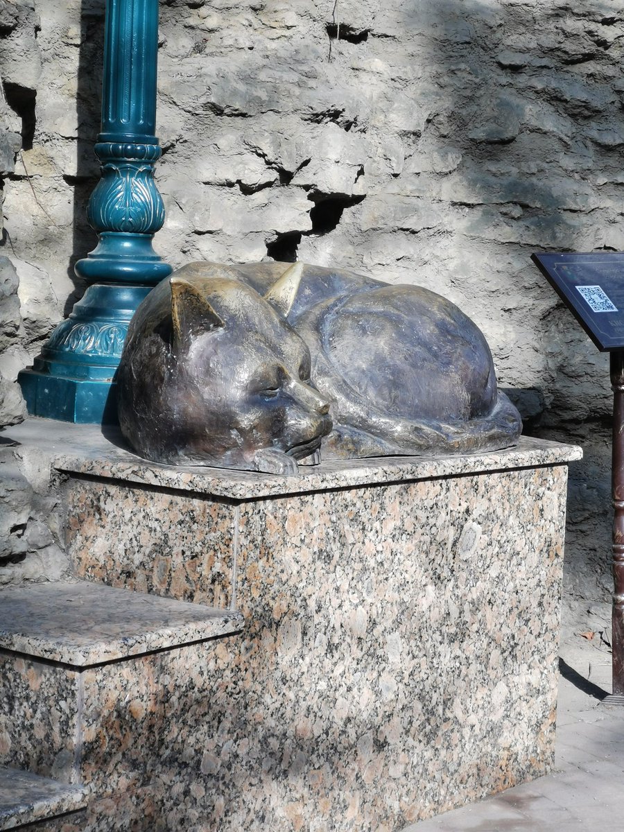 Бархат 1970 tweet media