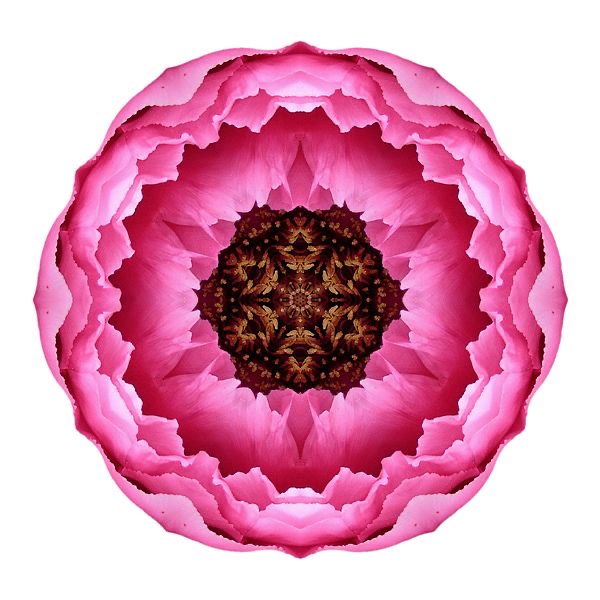 Now
is where
love breathes.

Rumi

📸 David J. Bookbinder