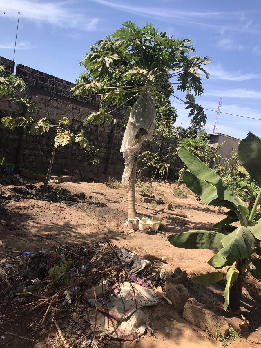 Always love the nature and green living