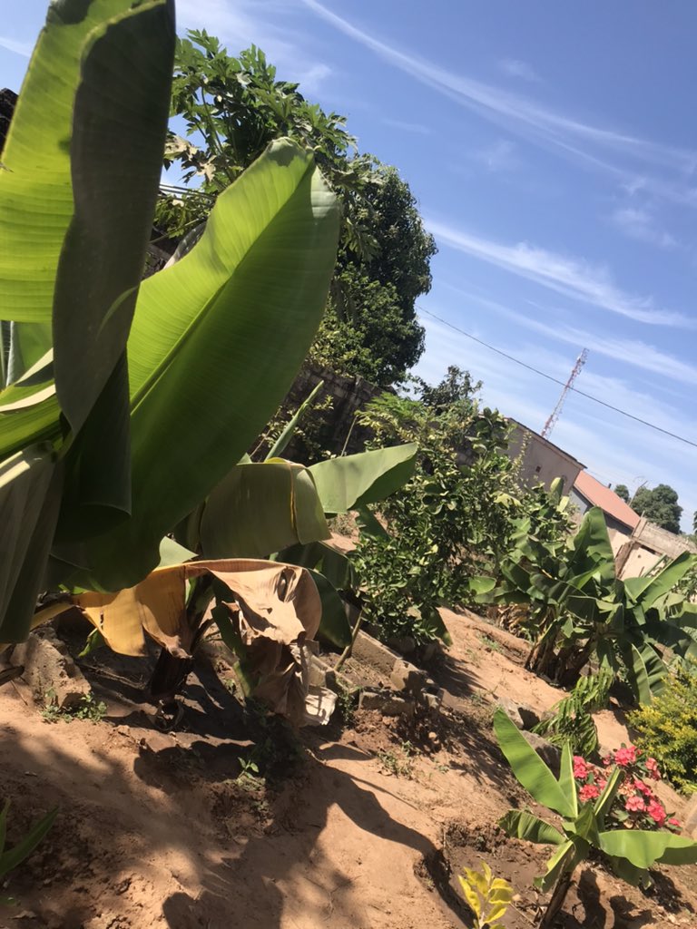 Buba bayo (@bubabayo5) on Twitter photo 