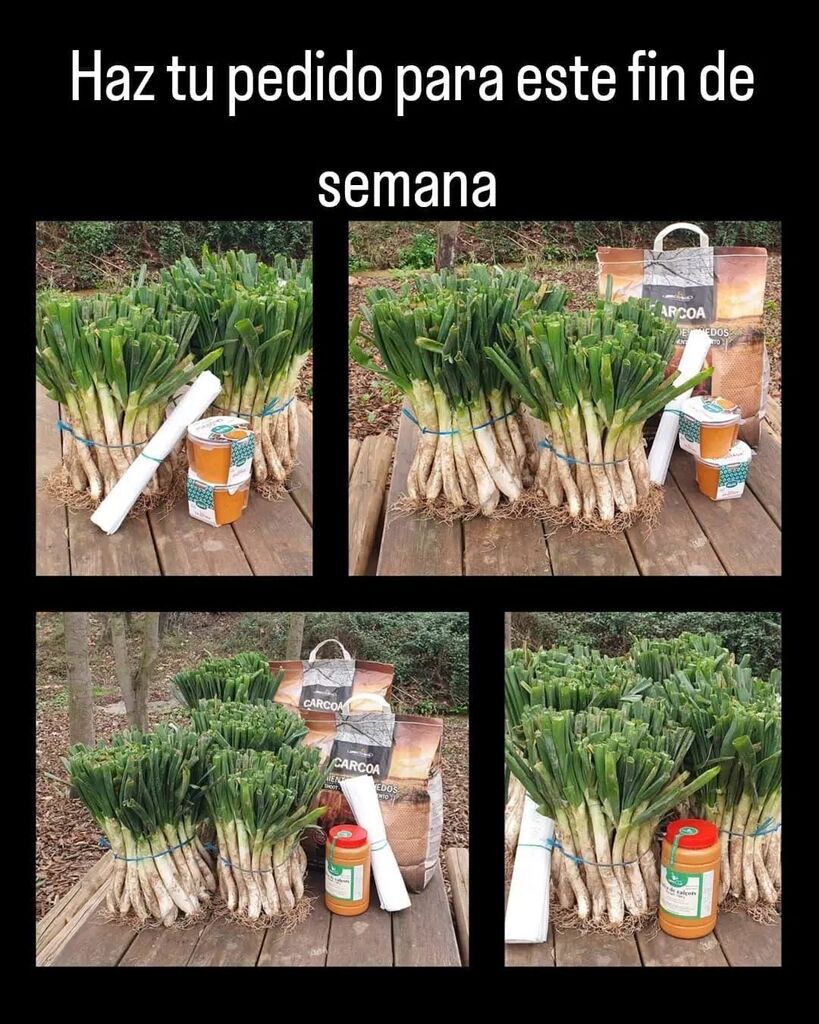 Puedes hacer tu pedido para este fin de semana.
.
.
.
#calçotsadomicilio #calsots #calçots #productosdetemporada #temporadadecalçots #calcotsadomicilio #calsotsadomicilio #productosfrescos #enviosadomicilio #salsesfruitssp #salsadecalçots
