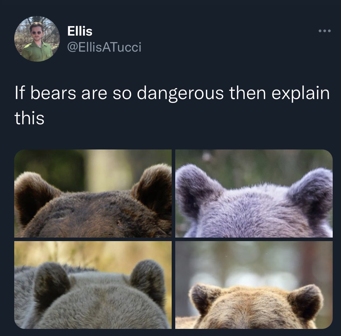 BPS1031's tweet photo. @JesseJerdak @keatingssixth Bears are friend shaped https://t.co/fZ71mFmAtJ