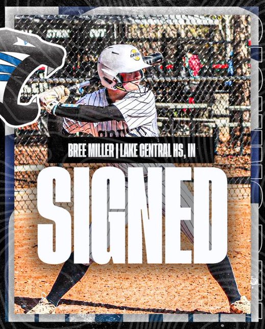 🥎SAINT FRANCIS SOFTBALL🥎 (@stfrancissftbal) on Twitter photo 