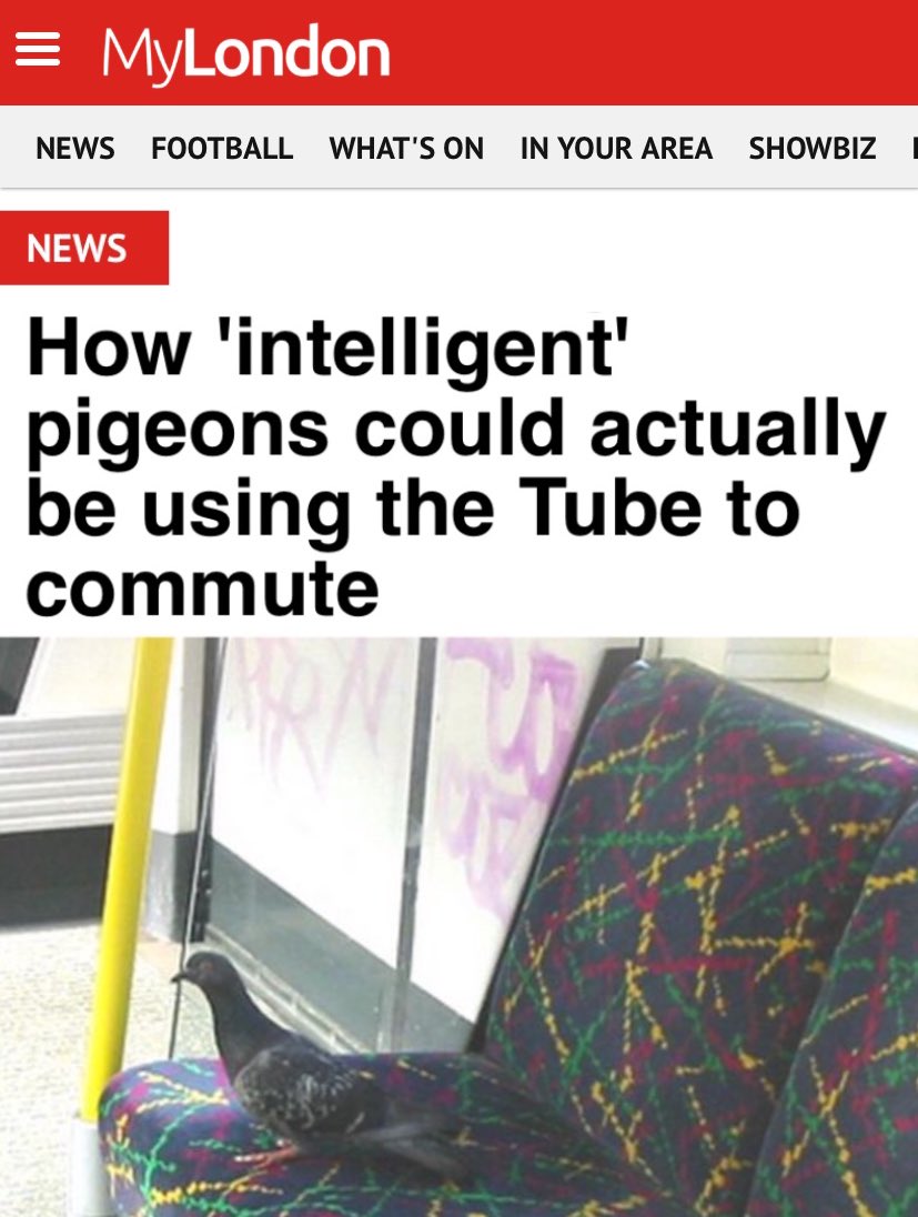 NoContextBrits's tweet image. 