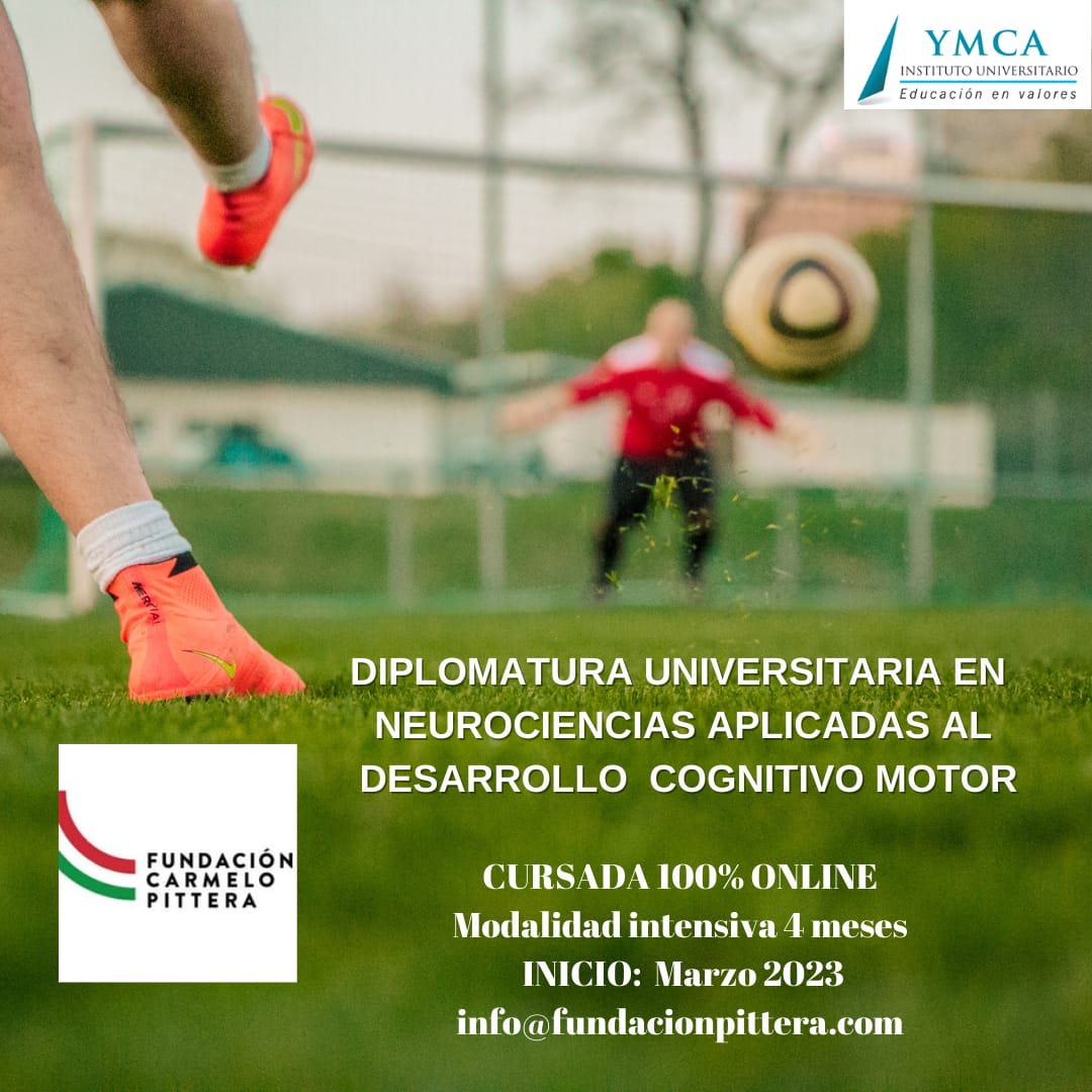 Fundación Carmelo Pittera tweet media