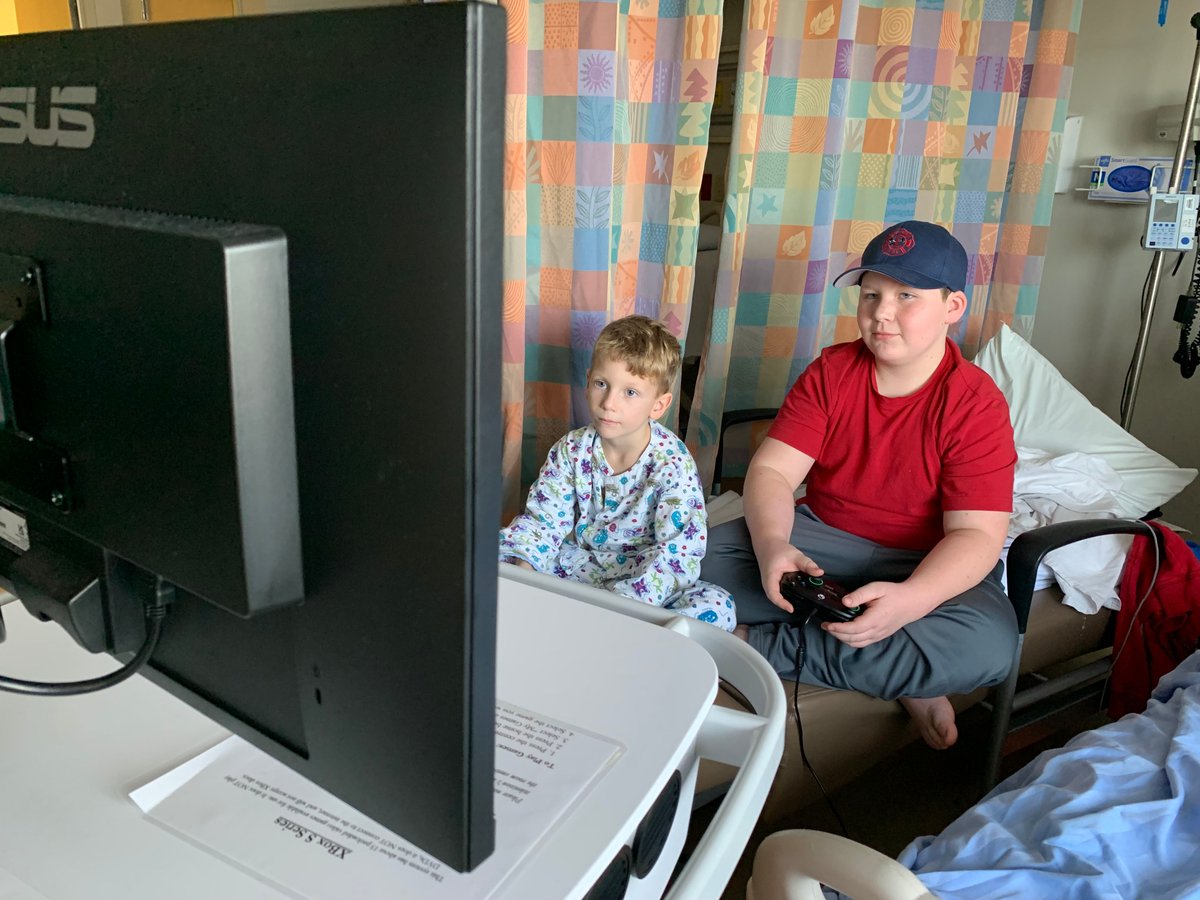 Cora on Twitter "RT GTWScar Hermitcraft Community! The Go Karts are landing in hospitals and