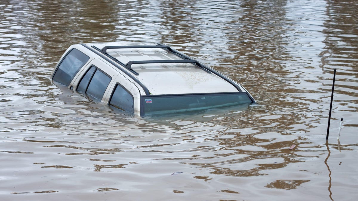 Авто Pond