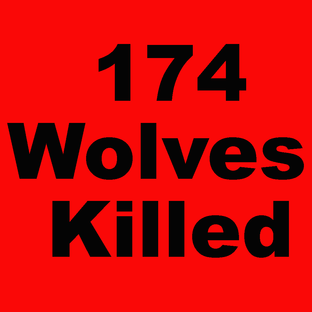 Another bad day. 7 more Montana wolves killed as of yesterday. As of January 30, 2023 Montana has killed 174 wolves. This doesn't include poaching and other human-caused mortality. Join the fight to protect our wolves an wildlife.info@wolvesoftherockies.org
#mtfwp